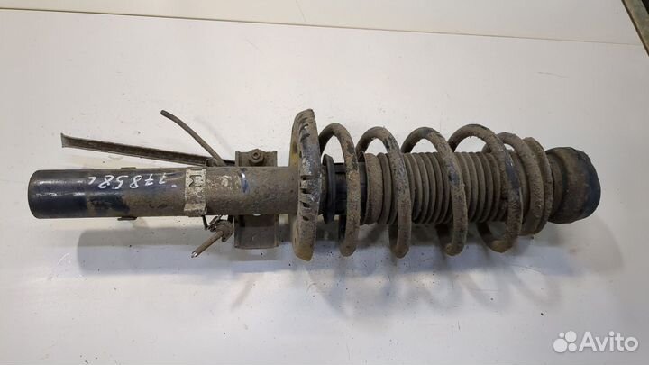 Амортизатор подвески Skoda Roomster, 2013