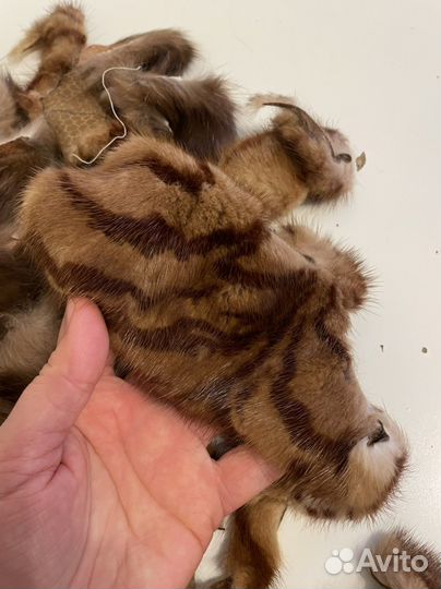 Мех норки и куницы обрезки