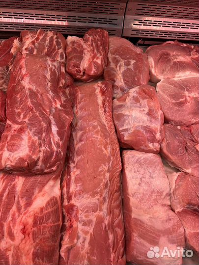 Свинина домашняя, мясо, грудинка, лопатка