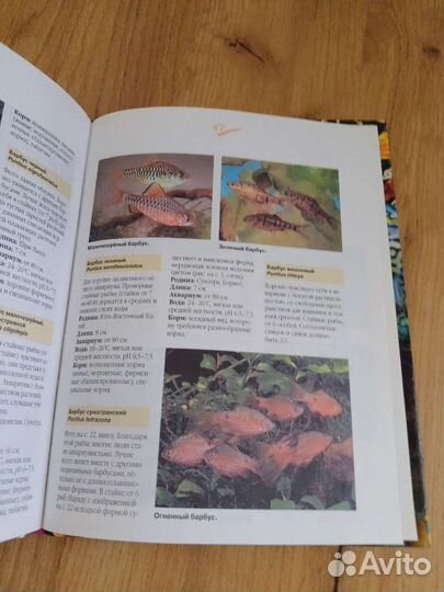 Книги об аквариумных рыбках