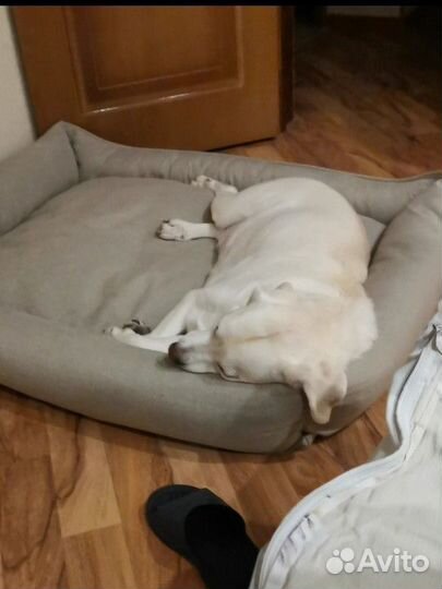 Лежак для средних и больших собак