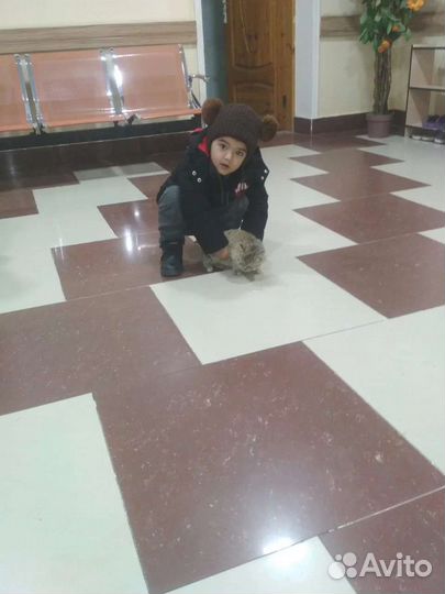 Ремонт и отделка квартир под ключ домов