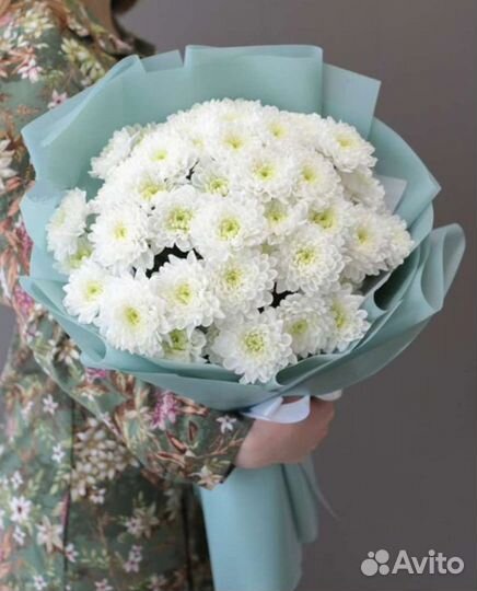 Цветы хризантем и букеты с доставкой