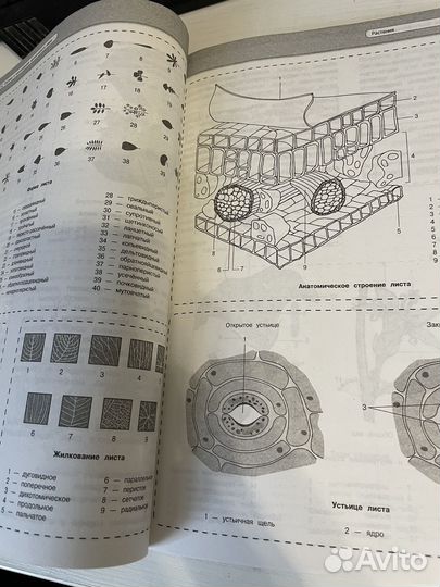 Пособие по биологии егэ И огэ в таблицах и схемех