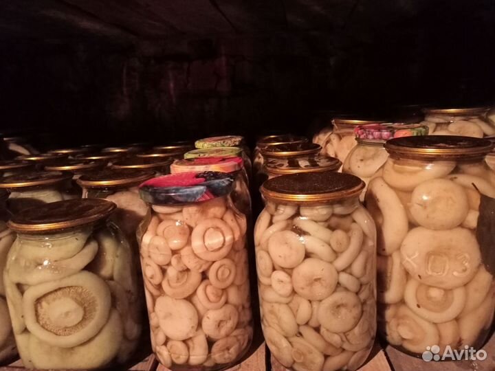 Грибы белые грузди маринованные