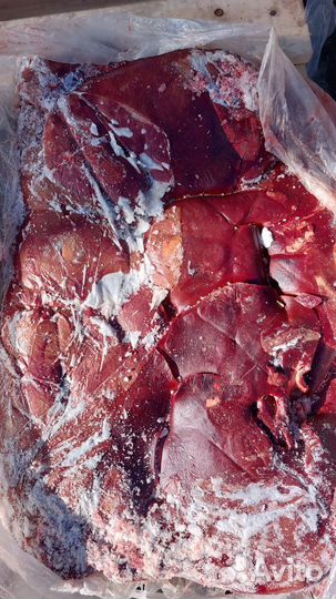 Мясо и фарши для собак