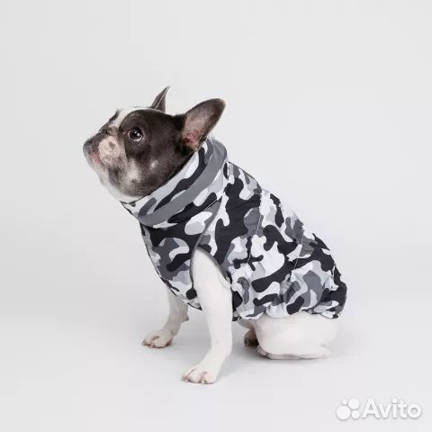 Куртка жилет для собак французский бульдог