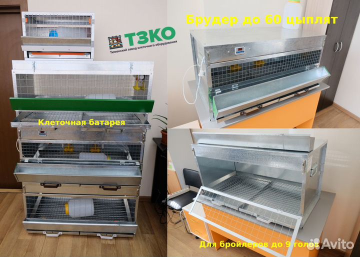 Клетки для кур, перепелов, кроликов. Производитель