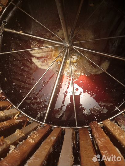 Мед гречишный