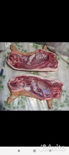 Домашнее мясо вьетнамская кабан эко продукт