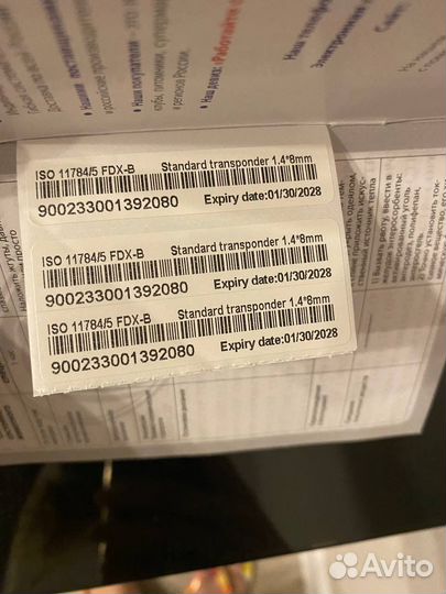 Померанский шпиц