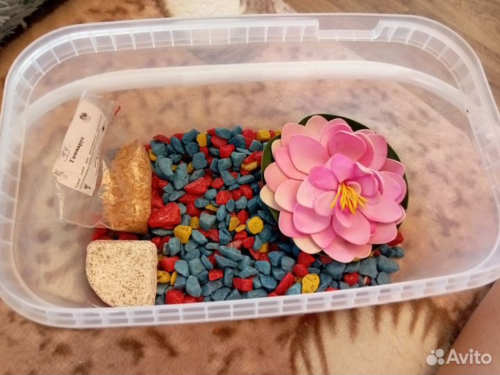 Аквариум (набор) для черепахи