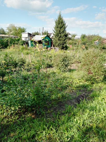 Дача 30 м² на участке 10 сот.