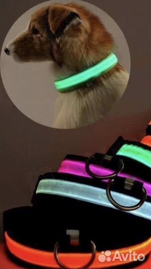 Нейлоновый светодиодный ошейник для собак