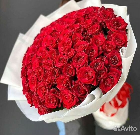 Высокие Розы с Доставкой