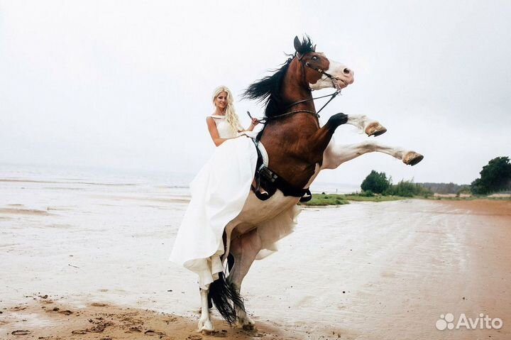 Wideon - HiEndMan Креативный Фотограф и Видеограф