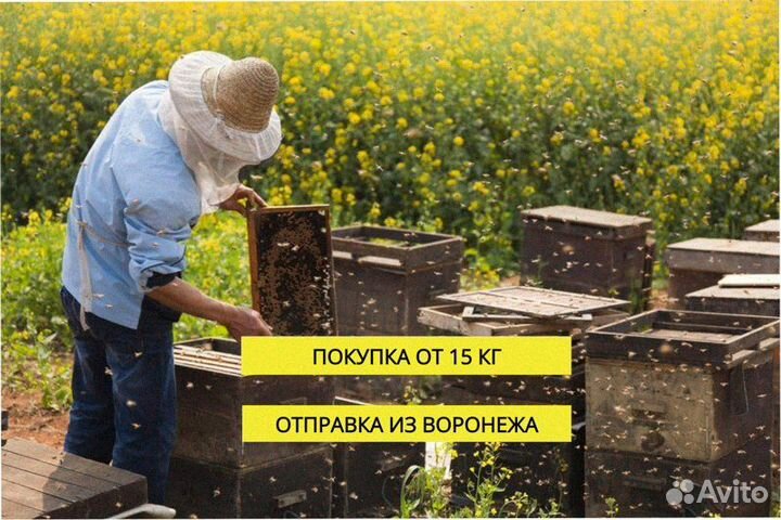 Мед оптом с экологически чистых районов