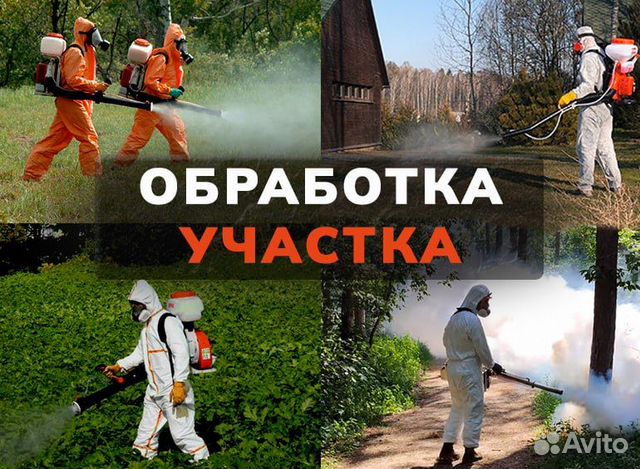 Уничтожение кротов клещей комаров ос борщевика