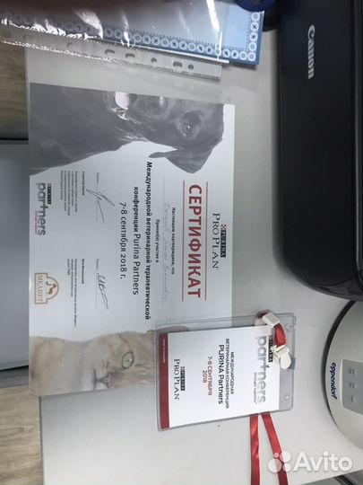 Полная Стерилизация кошки