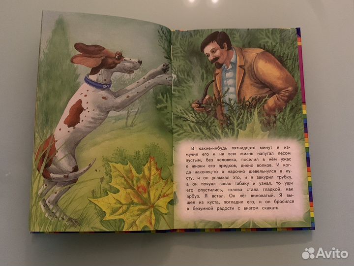 Книга «Ежовые рукавицы»