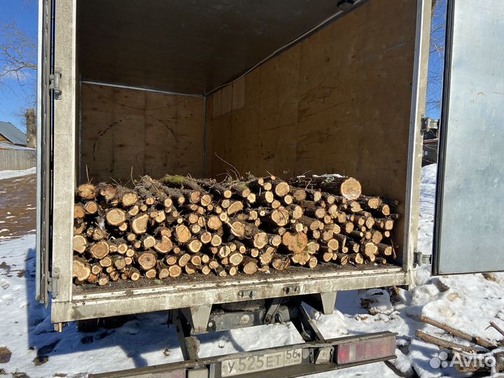 Деревья можевелника