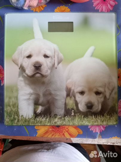 Весы напольные электронные