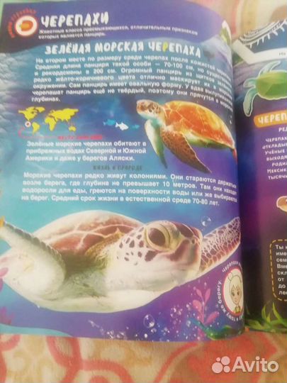 Детская энциклопедия. Животные 4 D