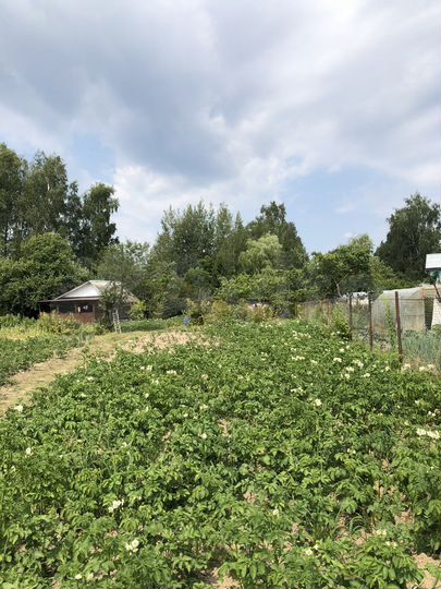 Участок 8,3 сот. (СНТ, ДНП)