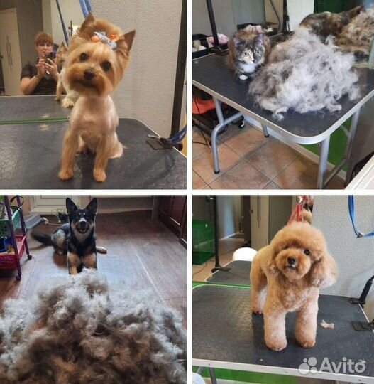 Стрижка собак и кошек, грумер, уралмаш