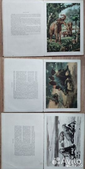 Редкая книга Чехословакия По путям развития жизни