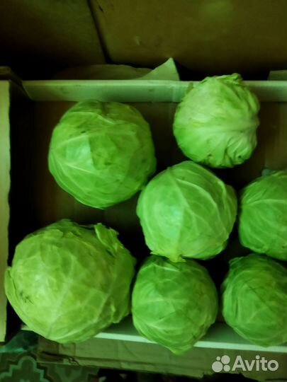 Овощи в ассортименте от 60р/кг