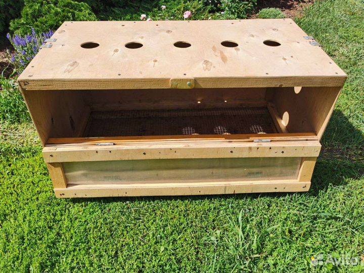 Брудер для цыплят