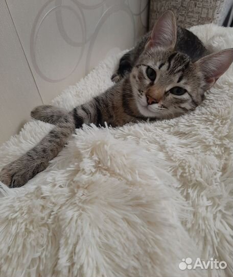 Малышка в любящую семью