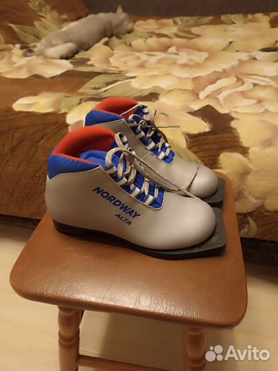 Лыжные ботинки