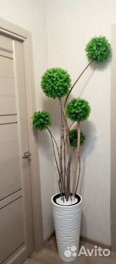 Самшитовое дерево