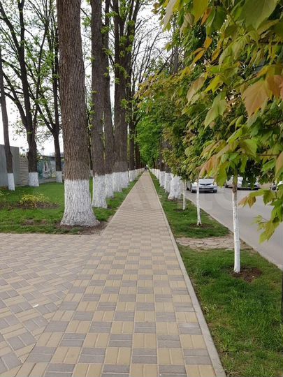 Квартира-студия, 30 м², 15/20 эт.