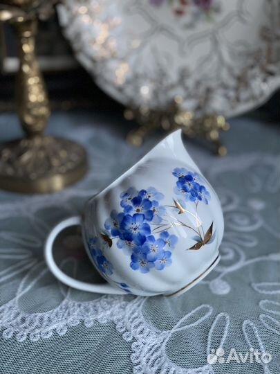 Молочник Флоксы редкий лфз 40-50х