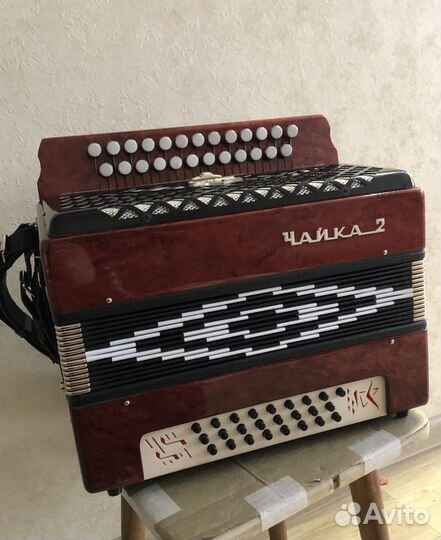 Гармонь чайка 2
