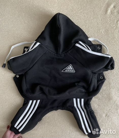 Комбинезон для маленькой собаки