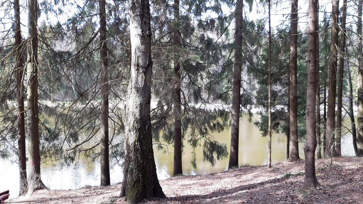 1-к. квартира, 39,3 м², 15/16 эт.