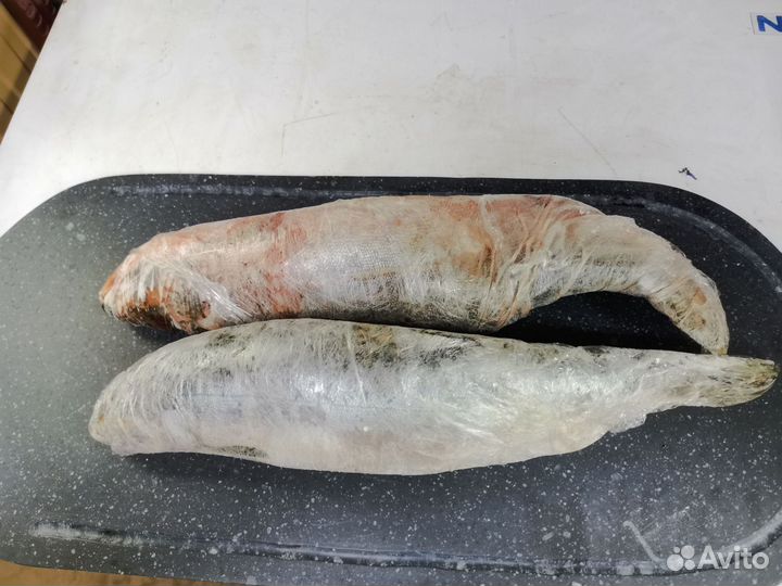 Свежемороженая рыба горбуша