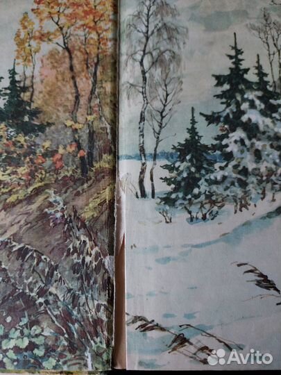 Ботаника - Всесвятский (1961)