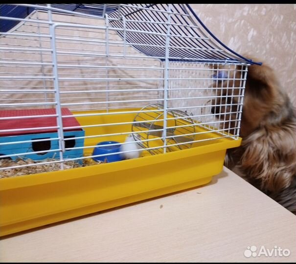 Клетка для грызунов бу