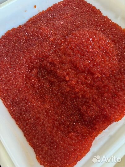 Красная икра кижуча с Камчатки