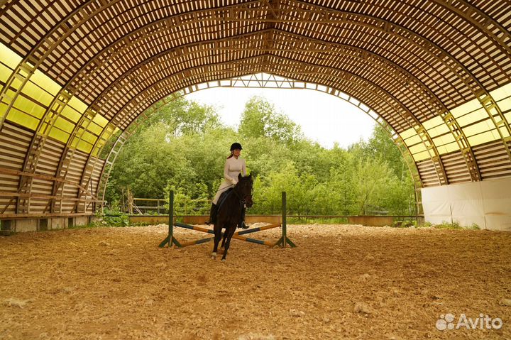 Постой лошадей