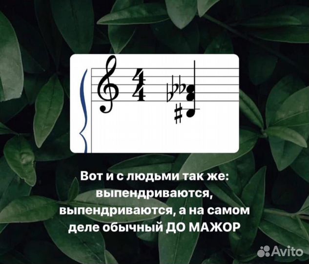 Классическая гитара 3/4