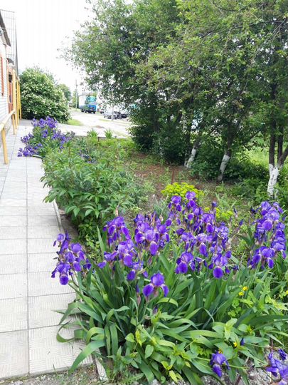 Дом 137 м² на участке 8 сот.