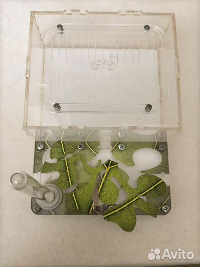 Муравьиная ферма