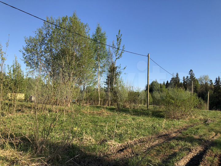Участок 10 сот. (СНТ, ДНП)