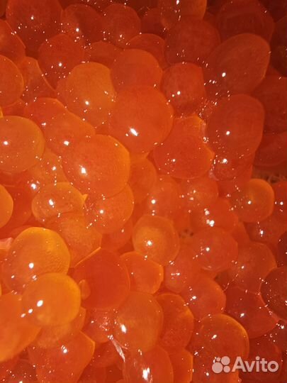 Красная икра кижуча